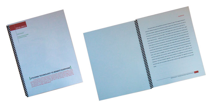 GRA 1111 final project example
