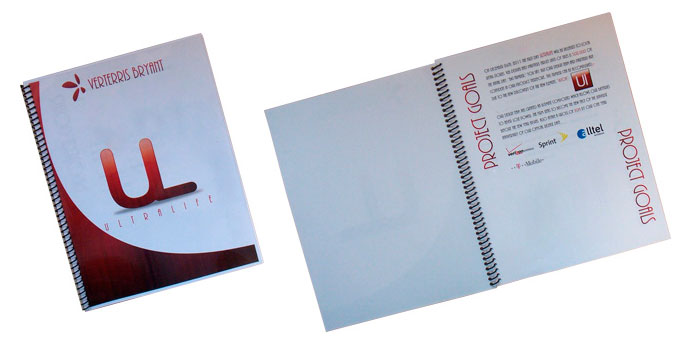 GRA 1111 final project example